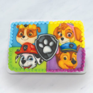 Paw Patrol Airbrush